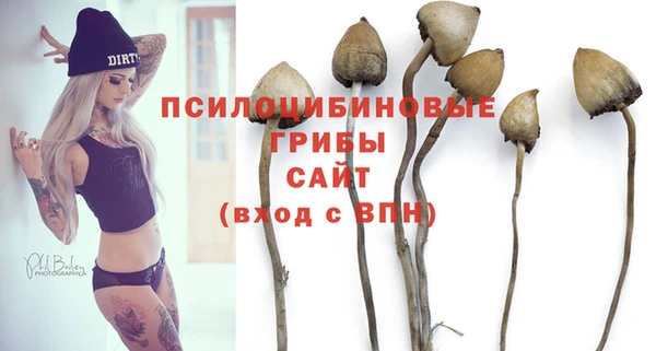 ГАЛЛЮЦИНОГЕННЫЕ ГРИБЫ Нефтегорск