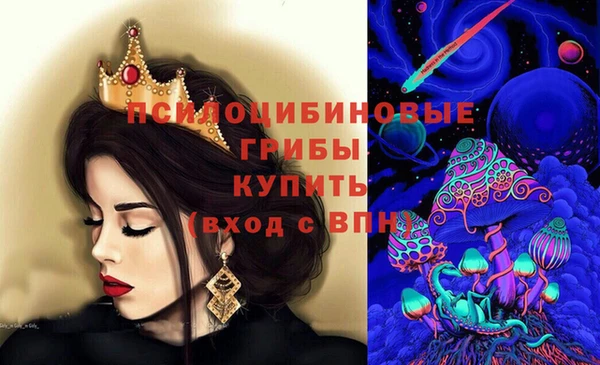 ГАЛЛЮЦИНОГЕННЫЕ ГРИБЫ Нефтегорск