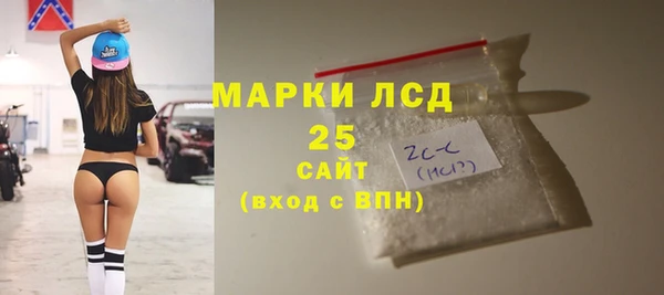 дмт Нея