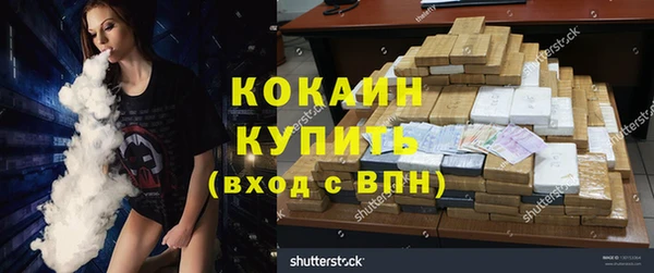 дмт Нея