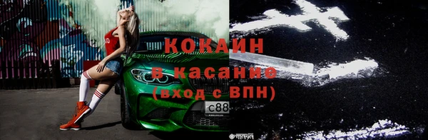 дмт Нея