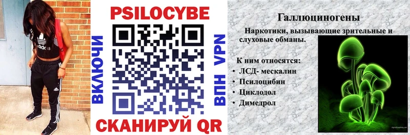 даркнет сайт Сусуман Псилоцибиновые грибы GOLDEN TEACHER